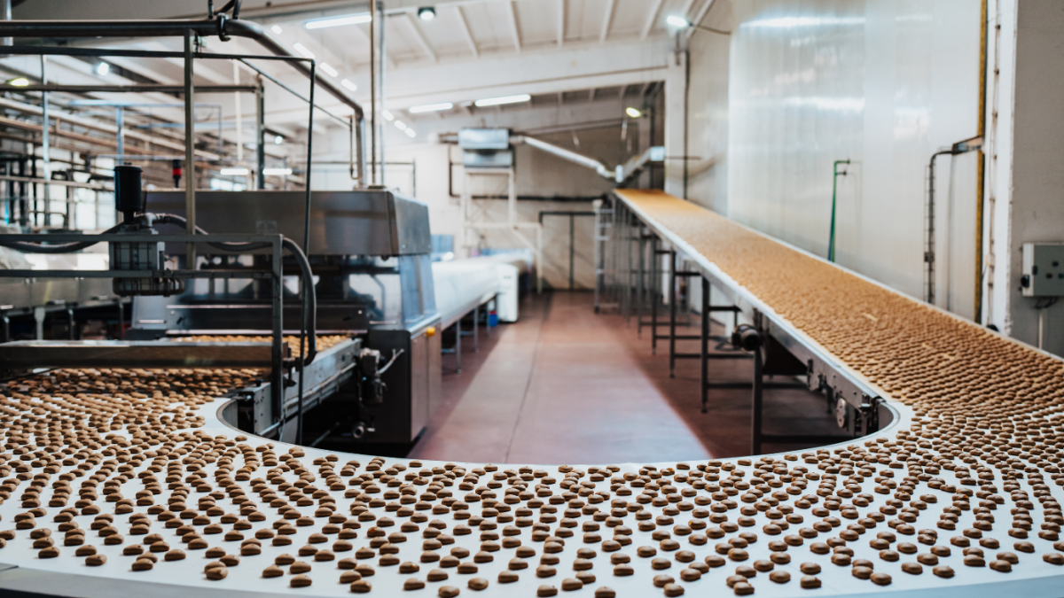 Innovare il cibo: perché il futuro del food passa anche dall’Italia