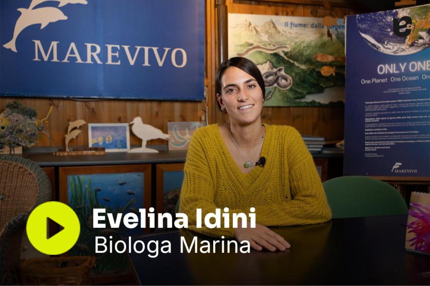 Marevivo video #2