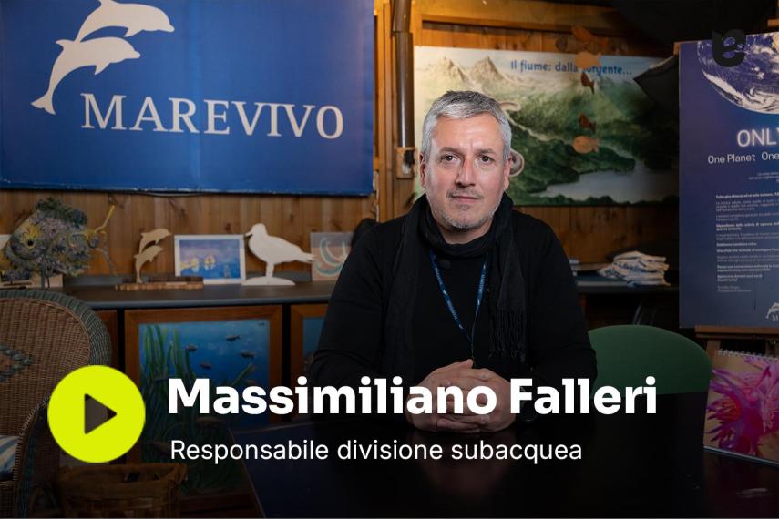 Marevivo video #1