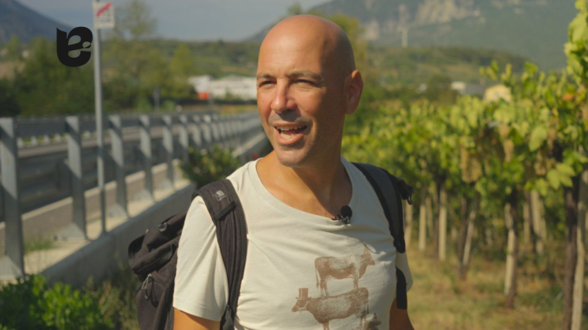 Vincenzo Sulprizio, da Commercial Leader a viticoltore